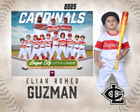 CP.Gibson.Cardinals_Guzman_Elian_SF_27484_MM