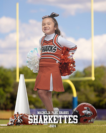MASCOT_Cuadros_Gianna_IMGL0379_GOAL POST_