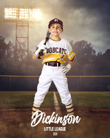 CP8_BOBCATS_BROZE_JACOB_DLL12364_FIELDLIGHTS