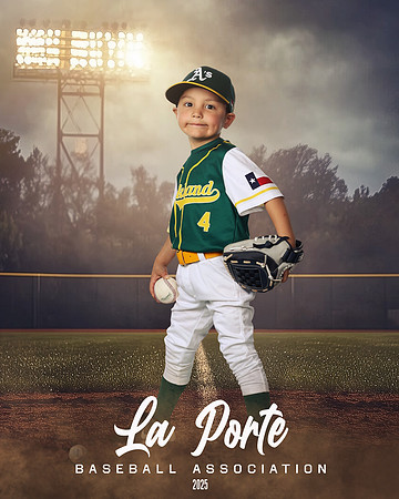 4U_Foal_Athletics_Alanis_Luka_LP010720_FIELDLIGHTS
