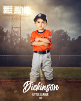TB_TIGERS_White_Liam_DLL11549_FIELD LIGHTS_