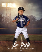 6U_Shetland_Yankees_Menendez_Lucas_LP010039_FIELDLIGHTS