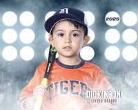 TB_TIGERS_White_Liam_DLL11553_LIT