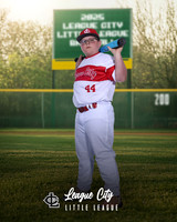 AAA.Lutz.Cardinals_Keeler_Levi_143A0924_CHANGEABLE