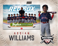 TB_ Red Sox_Williams_Addian_BAY28792_MM