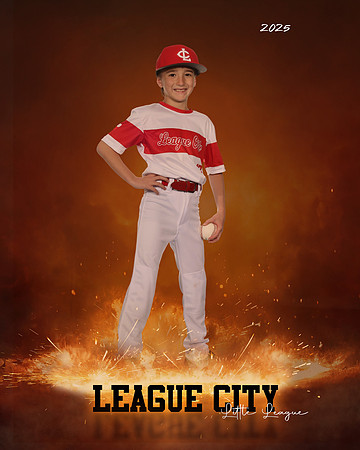 AAA.Lutz.Cardinals_Sledge_Reid_143A1942_ROF