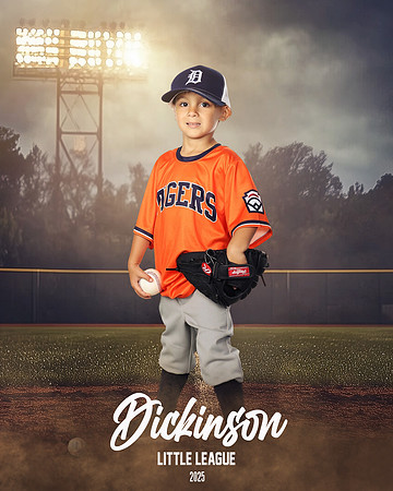 TB_TIGERS_Tiffany_Charles_DLL11649_FIELD LIGHTS_
