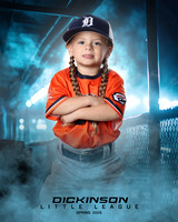 TB_TIGERS_Shafer_Harper_DLL12289_DUGOUT_