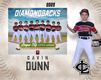 AA.Swartz.Diamondbacks_Dunn_Gavin_143A1465_MM_MM