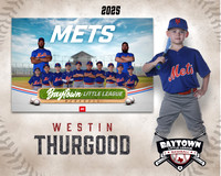 M2_ Mets_Thurgood_Westin_BAY12774_MM
