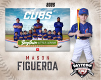 TB_ Cubs_Figueroa_Mason_BAY29782_MM