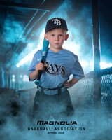 4_5U_Rays_Stephens_William_MAG25468_DUGOUT_