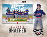 M1_Mets_Shaffer_Easton_BAY13189_MM