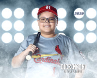 MJR_CARDINALS_Torres_Brody_DLL13156_LIT