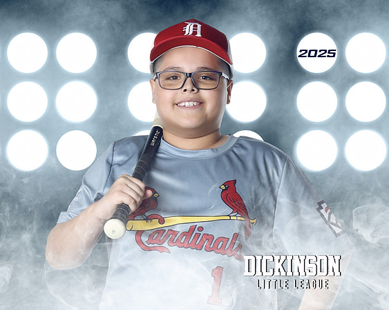 MJR_CARDINALS_Torres_Brody_DLL13156_LIT