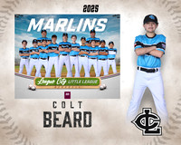 MJR.Dickson.Marlins_Beard_Colt_SF_27420_MM