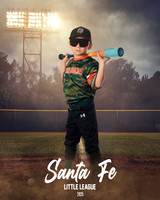 CP5_WOODDUCKS_Taboada III_Angel_IMGL8384_FIELDLIGHTS