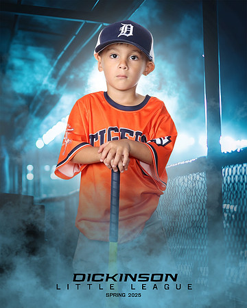 TB_TIGERS_Tiffany_Charles_DLL11647_DUGOUT_