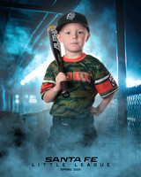 CP5_WOODDUCKS_Tatyrek_Cooper_IMGL8404_DUGOUT