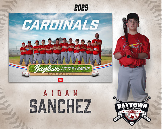 MJR_Cardinals_Sanchez_Aidan_BAY29913_MM