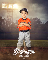 TB_TIGERS_White_Liam_DLL11551_FIELD LIGHTS_