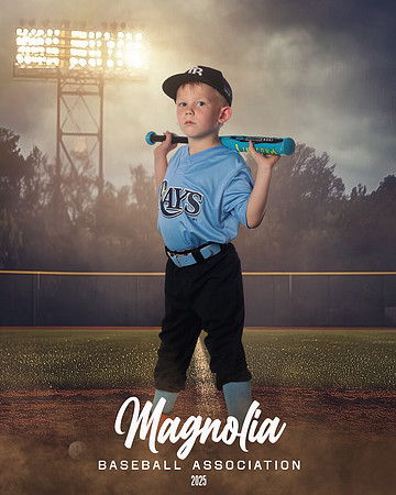 4_5U_Rays_Stephens_William_MAG25472_FIELD LIGHTS_