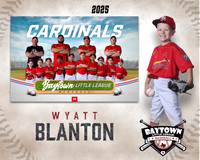 M3_ Cardinals_Blanton_Wyatt_BAY28008_MM