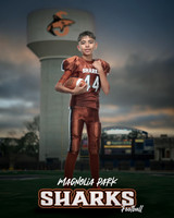 SENIOR_Ramirez Jr_Joe_IMGL0741_WATER TOWER_