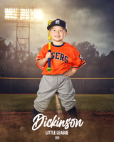 TB_TIGERS_villanueva_Giovanni_DLL11535_FIELD LIGHTS_