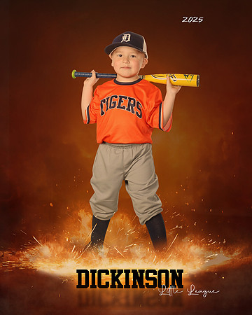 TB_TIGERS_villanueva_Giovanni_DLL11538_ROF