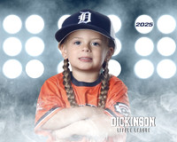 TB_TIGERS_Shafer_Harper_DLL12289_LIT