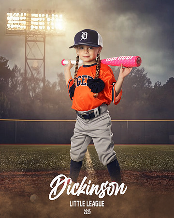 TB_TIGERS_Shafer_Harper_DLL12294_FIELD LIGHTS_