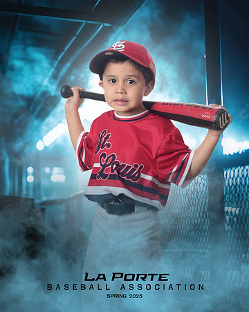 4U_Foal_Cardinals_Chavez_Zed_LP022530_DUGOUT