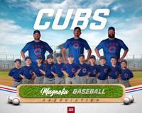 4_5U_Cubs_Hobbs_Luke