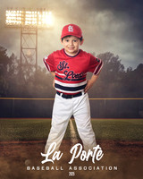 4U_Foal_Cardinals_Martinez_Mateo_LP022627_FIELDLIGHTS