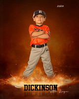 TB_TIGERS_Polk_Maddox_DLL11516_ROF