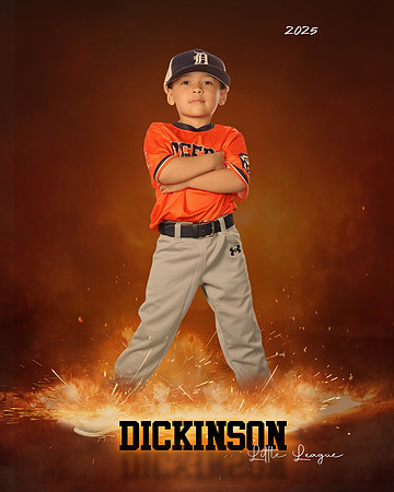 TB_TIGERS_Polk_Maddox_DLL11516_ROF