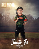 CP5_WOODDUCKS_Tatyrek_Cooper_IMGL8404_FIELDLIGHTS
