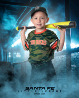 CP5_WOODDUCKS_Mills_Jackson_IMGL8334_DUGOUT