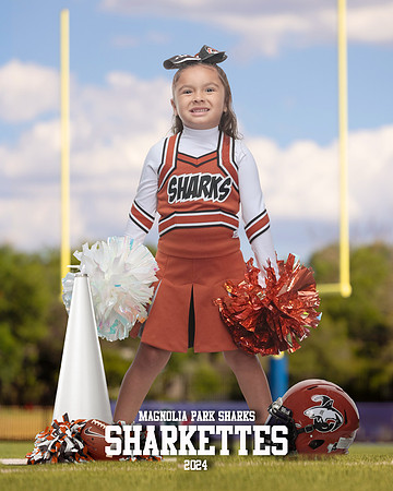 MASCOT_Cuadros_Gianna_IMGL0378_GOAL POST_