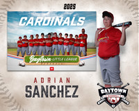 MJR_Cardinals_Sanchez_Adrian_BAY29907_MM