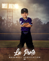 4U_Foal_Rockies_Garcia_Rowan_LP010179_FIELDLIGHTS