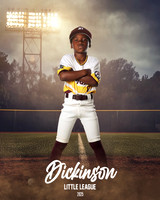 CP8_BOBCATS_Thomas_Jaxon_DLL12322_FIELD LIGHTS_