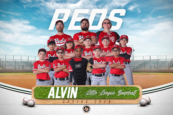 MINORS_REDS_10U
