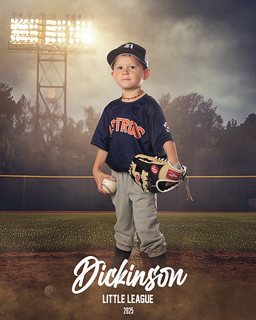 TB_ASTROS_DUES_LUKE_DLL29691_FIELD LIGHTS_