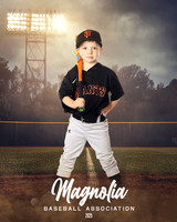 4_5U_Giants_Dowling_Bradey_MAG10300_FIELD LIGHTS_