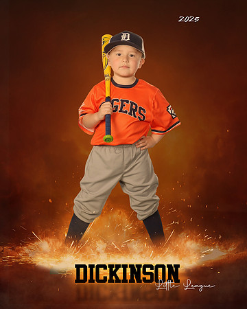 TB_TIGERS_villanueva_Giovanni_DLL11536_ROF