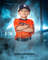 TB_TIGERS_Polk_Maddox_DLL11516_DUGOUT_