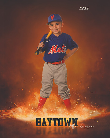 M2_ Mets_Gonzalez_Fidel_BAY12751_ROF