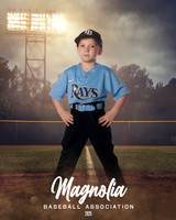 4_5U_Rays_Guillory_Sterling_MAG25150_FIELD LIGHTS_